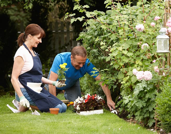 Gardening