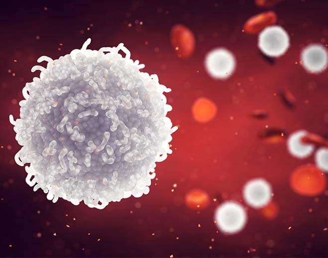 White Blood Cell Count: What You Need to Know